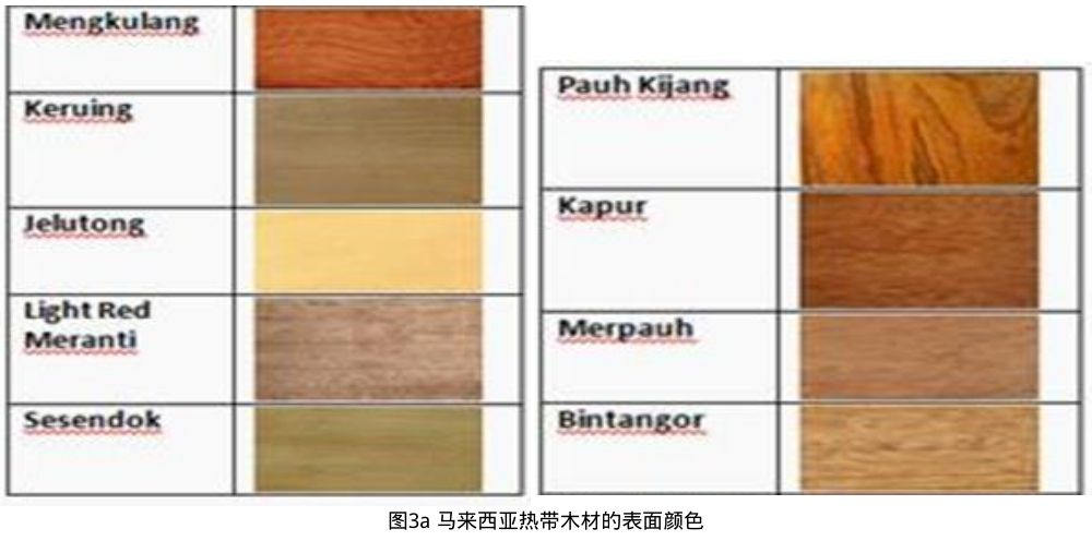 图3a 马来西亚热带木材的表面颜色
