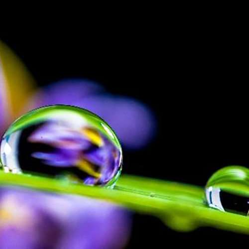 有机硅粉末憎水剂