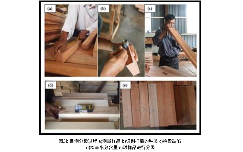 图3b 目测分级过程 a)测量样品 b)识别样品的种类 c)检查缺陷 d)检查水分含量 e)对样品进行分级