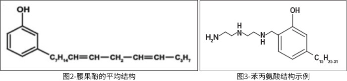 图2-腰果酚的平均结构;图3-苯丙氨酸结构示例